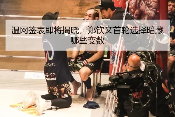 wen-wang-qian-biao-ji-jiang-jie-xiao-zheng-qin-wen-shou-lun-xuan-ze-an-cang-na-xie-bian-shu-3-317.jpg